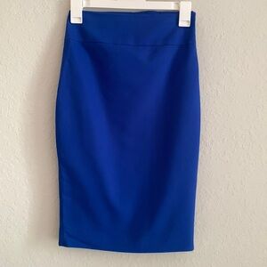 Express High Waisted Zip Side Pencil Skirt
